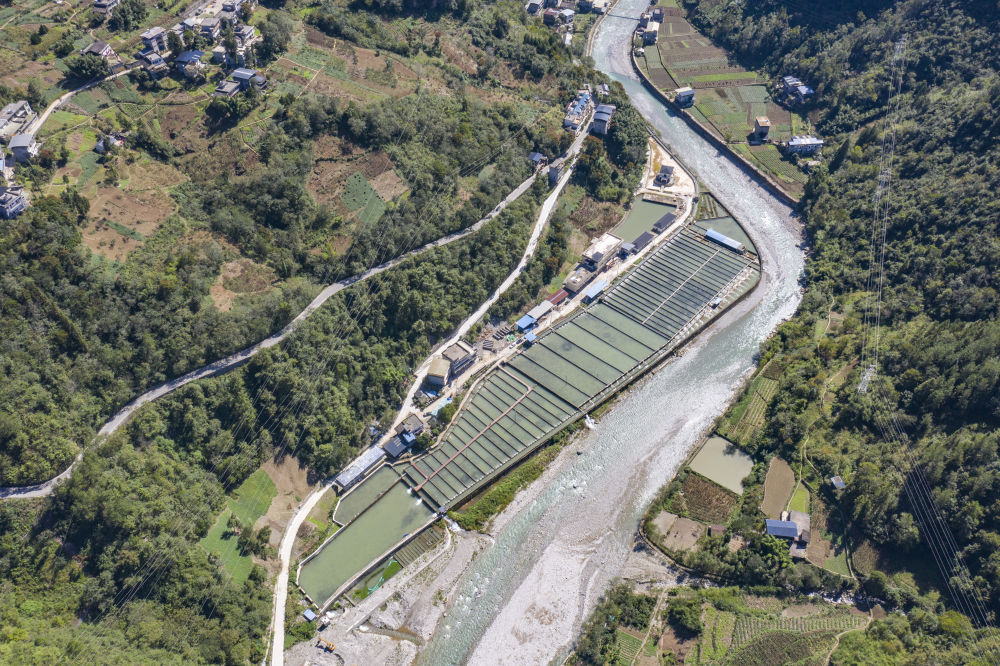 
天津血液研究所黄牛代挂号电话票贩子号贩子网上预约挂号,住院检查加快,新华全媒+｜重庆城口：巩固拓展脱贫攻坚成果同乡村振兴有效衔接观察