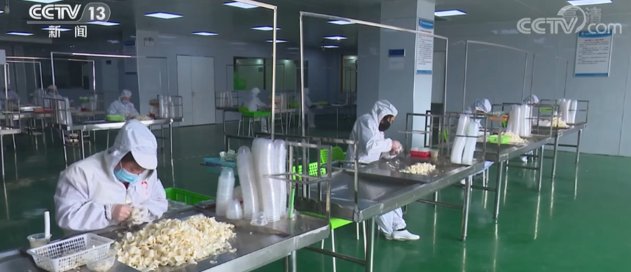 
广州各大医院黄牛代挂号电话票贩子号贩子网上预约挂号,住院检查加快,三季度经济观察 | 三大需求持续回升 恢复发展后劲增强