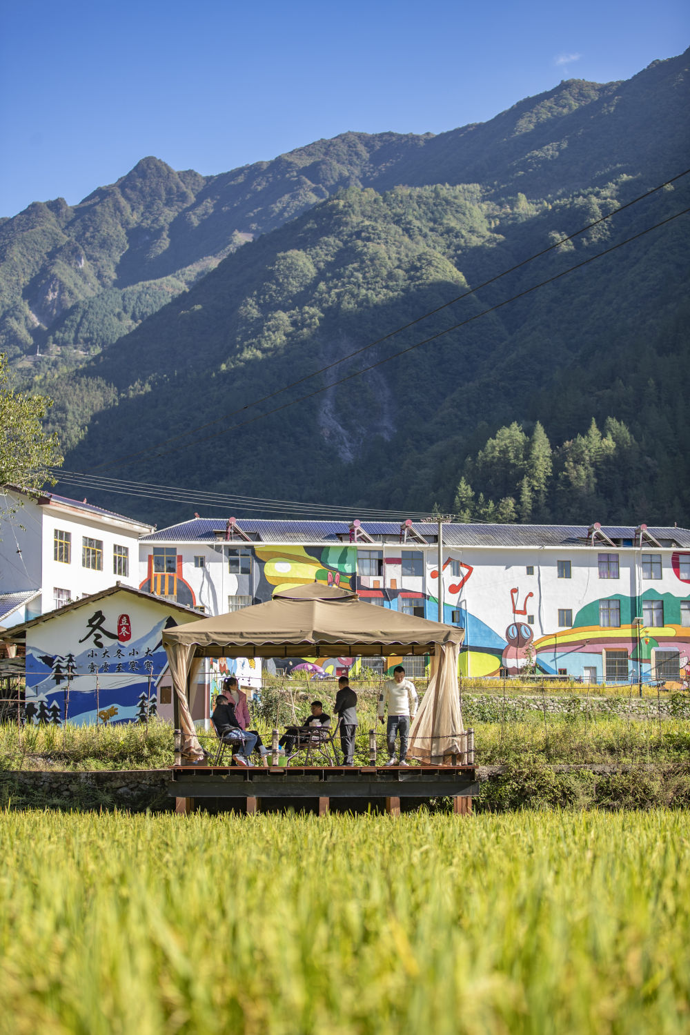 
天津血液研究所黄牛代挂号电话票贩子号贩子网上预约挂号,住院检查加快,新华全媒+｜重庆城口：巩固拓展脱贫攻坚成果同乡村振兴有效衔接观察