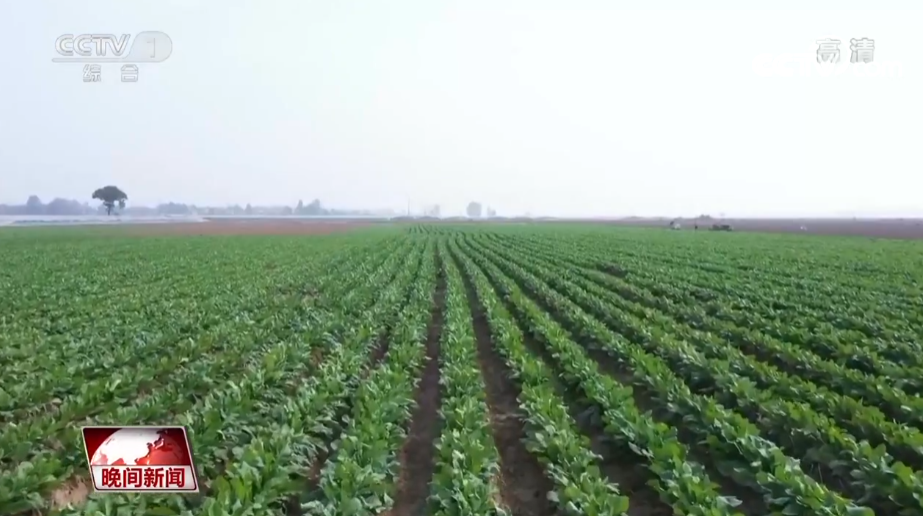 
北京阜外医院黄牛代挂号电话票贩子号贩子网上预约挂号,住院检查加快,金秋十月秋粮收获正当时 全国秋粮已收11.35亿亩完成86.9%