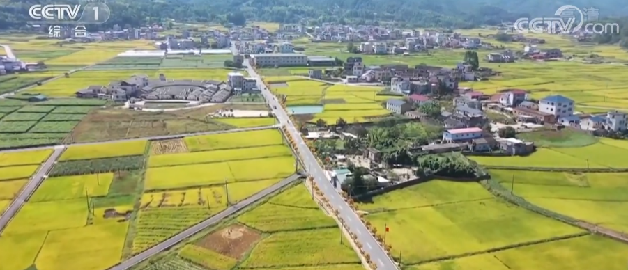 
北京阜外医院黄牛代挂号电话票贩子号贩子网上预约挂号,住院检查加快,金秋十月秋粮收获正当时 全国秋粮已收11.35亿亩完成86.9%
