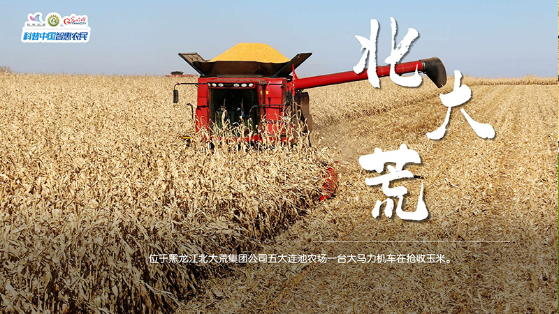 
沈阳医大一院黄牛代挂号电话票贩子号贩子网上预约挂号,住院检查加快,粮田绘“丰”景 | 颗粒归仓！全国秋粮收获超11亿亩