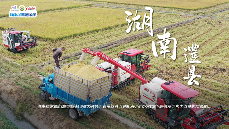 
沈阳医大一院黄牛代挂号电话票贩子号贩子网上预约挂号,住院检查加快,粮田绘“丰”景 | 颗粒归仓！全国秋粮收获超11亿亩