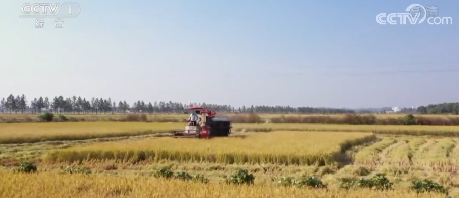 
北京阜外医院黄牛代挂号电话票贩子号贩子网上预约挂号,住院检查加快,金秋十月秋粮收获正当时 全国秋粮已收11.35亿亩完成86.9%