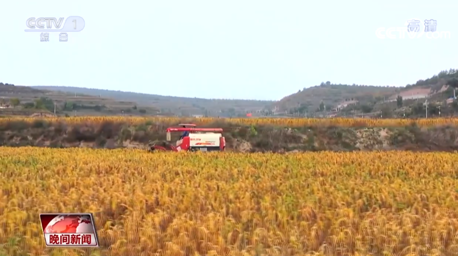 
北京阜外医院黄牛代挂号电话票贩子号贩子网上预约挂号,住院检查加快,金秋十月秋粮收获正当时 全国秋粮已收11.35亿亩完成86.9%