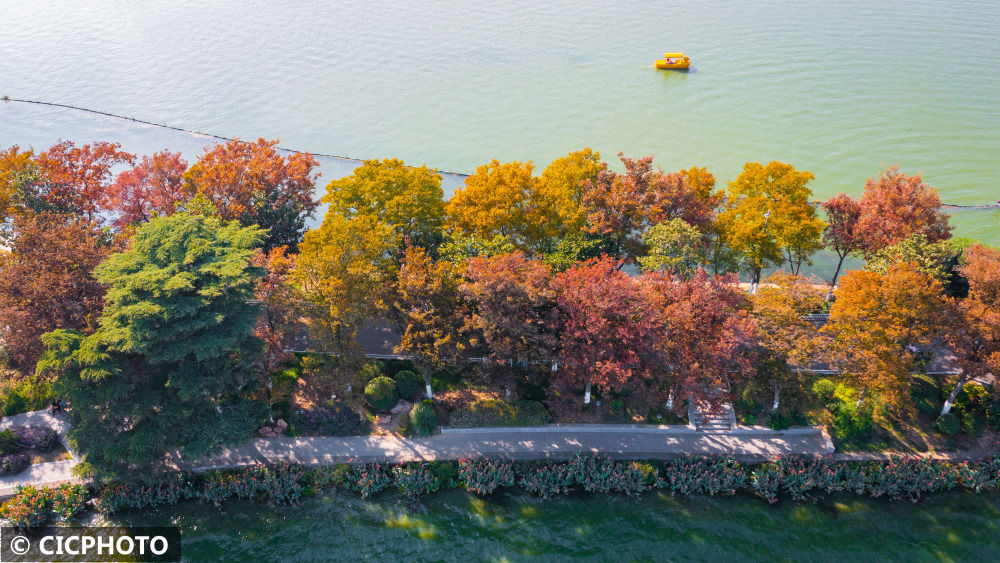 
东部战区总医院黄牛代挂号电话票贩子号贩子网上预约挂号,住院检查加快,南京玄武湖秋色斑斓如画