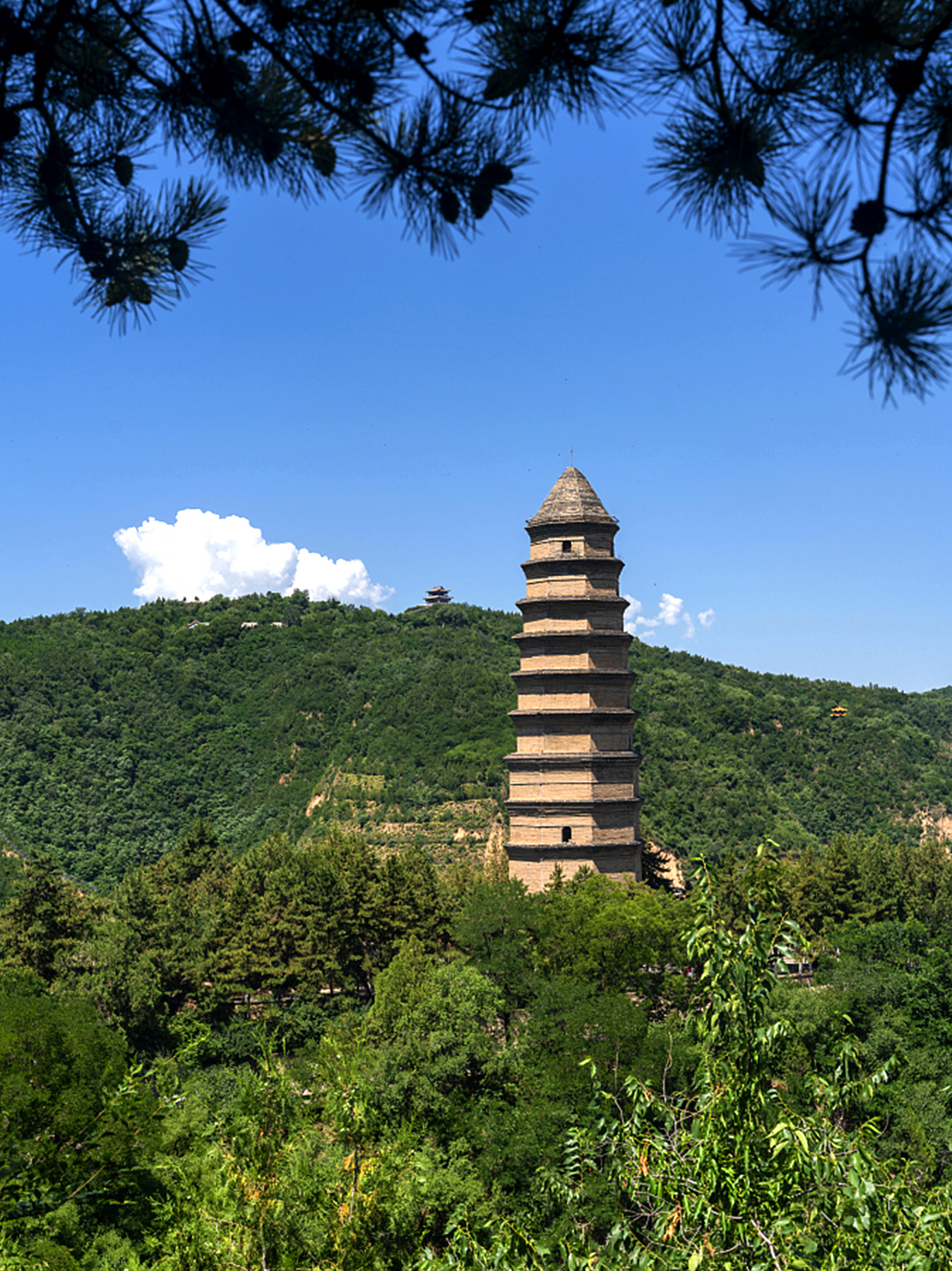 
南京明基医院黄牛代挂号电话票贩子号贩子网上预约挂号,住院检查加快,鉴往知来，跟着总书记学历史丨走进中国革命圣地延安