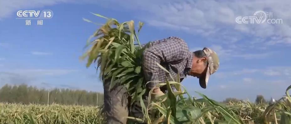 
广州市妇女儿童医疗中心黄牛代挂号电话票贩子号贩子网上预约挂号,住院检查加快,各地特色经济作物成为助农增收富民产业