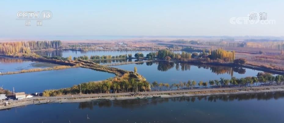 
北京空军总医院黄牛代挂号电话票贩子号贩子网上预约挂号,住院检查加快,鱼跃人欢 鱼塘好“丰”景