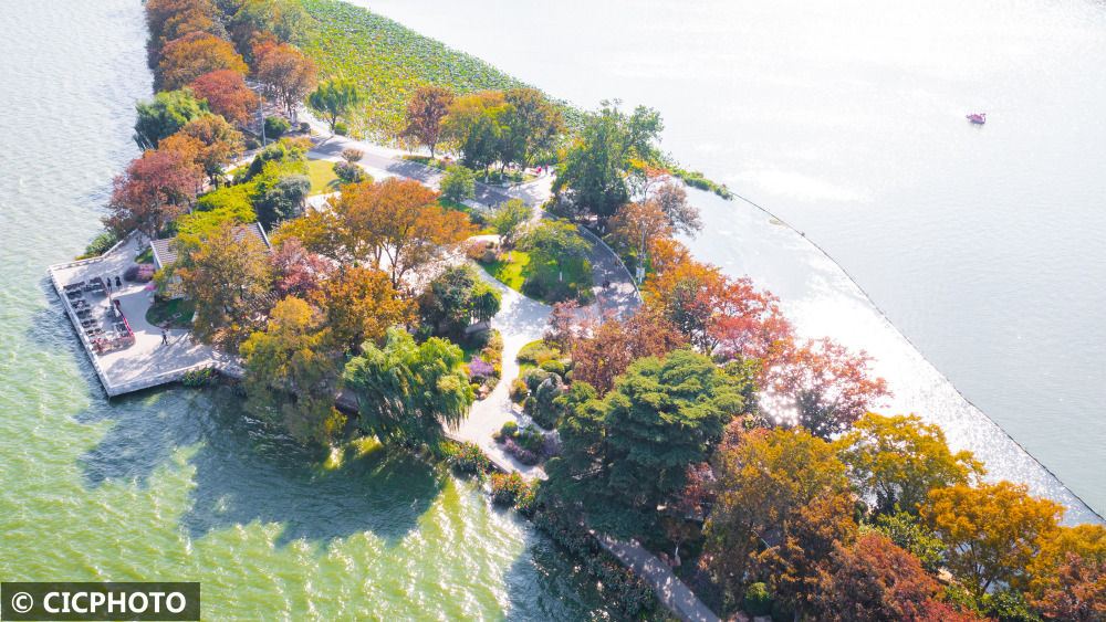 
东部战区总医院黄牛代挂号电话票贩子号贩子网上预约挂号,住院检查加快,南京玄武湖秋色斑斓如画