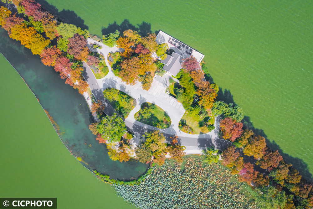 
东部战区总医院黄牛代挂号电话票贩子号贩子网上预约挂号,住院检查加快,南京玄武湖秋色斑斓如画