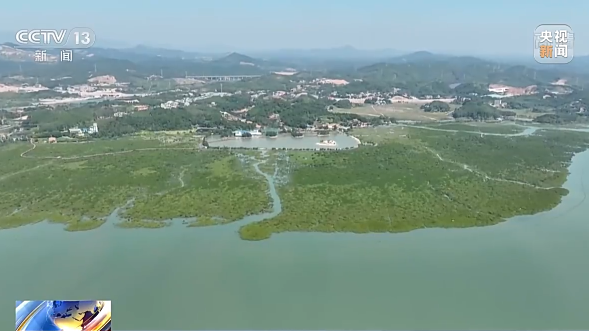 
中山大学孙逸仙纪念医院黄牛代挂号电话票贩子号贩子网上预约挂号,住院检查加快,美丽中国建设再出发 森林扩面提质 构筑生态屏障