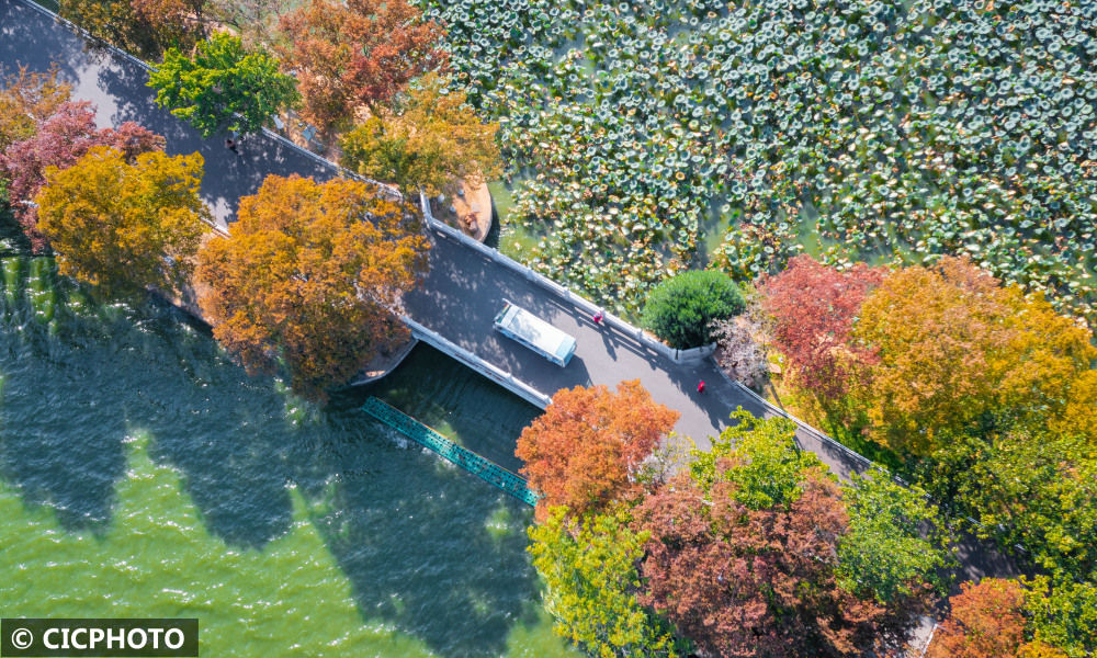 
东部战区总医院黄牛代挂号电话票贩子号贩子网上预约挂号,住院检查加快,南京玄武湖秋色斑斓如画