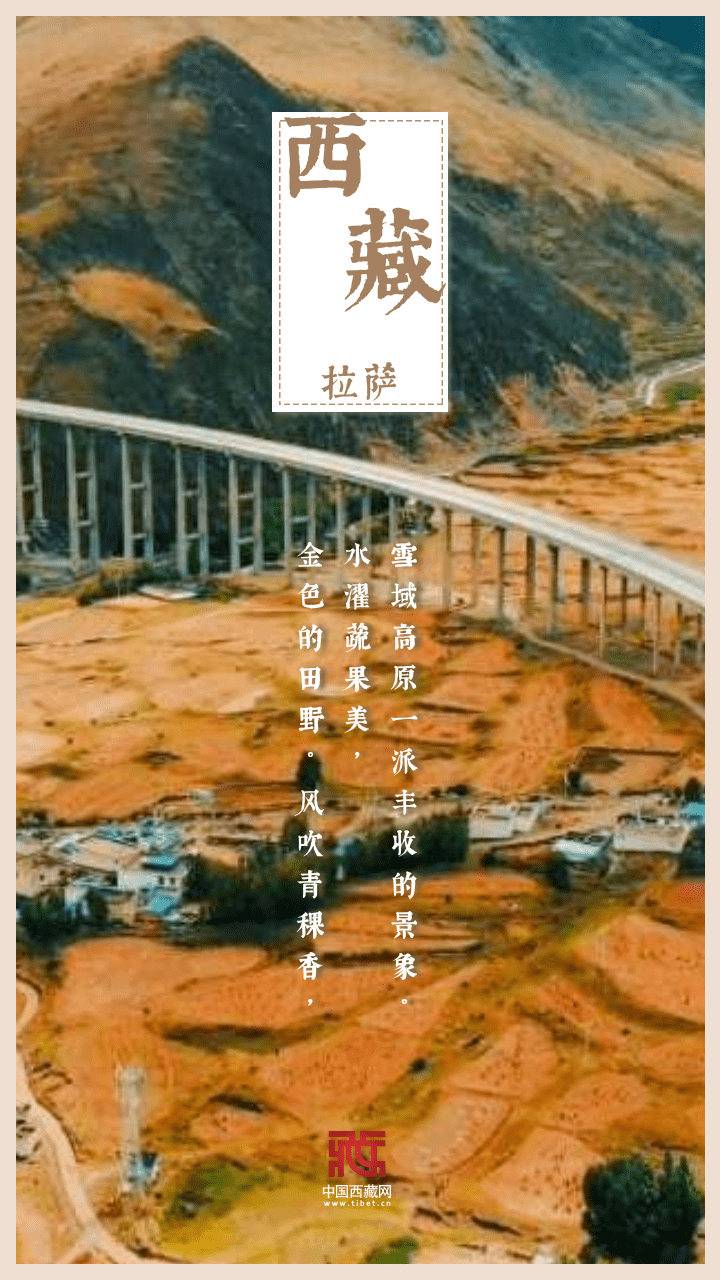 
西安市儿童医院黄牛代挂号电话票贩子号贩子网上预约挂号,住院检查加快,海报｜金秋西藏，又是一年好“丰”景