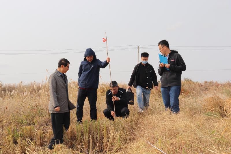 
上海龙华医院黄牛代挂号电话票贩子号贩子网上预约挂号,住院检查加快,新华全媒+丨耐盐优质水稻“盐黄香粳”完成实收测产 盐碱地利用再添新种源