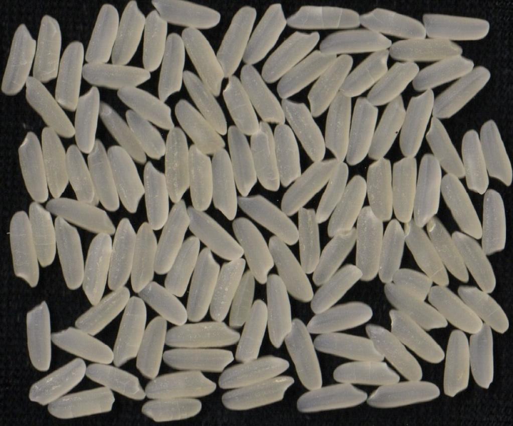 
上海龙华医院黄牛代挂号电话票贩子号贩子网上预约挂号,住院检查加快,新华全媒+丨耐盐优质水稻“盐黄香粳”完成实收测产 盐碱地利用再添新种源