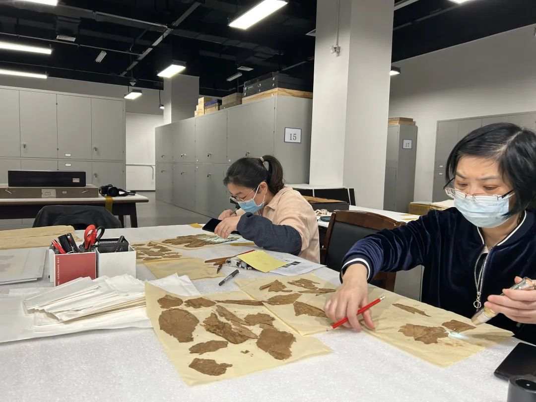 
浙江口腔医院黄牛代挂号电话票贩子号贩子网上预约挂号,住院检查加快,马王堆汉墓新发现：丝织品中织有成句吉祥语