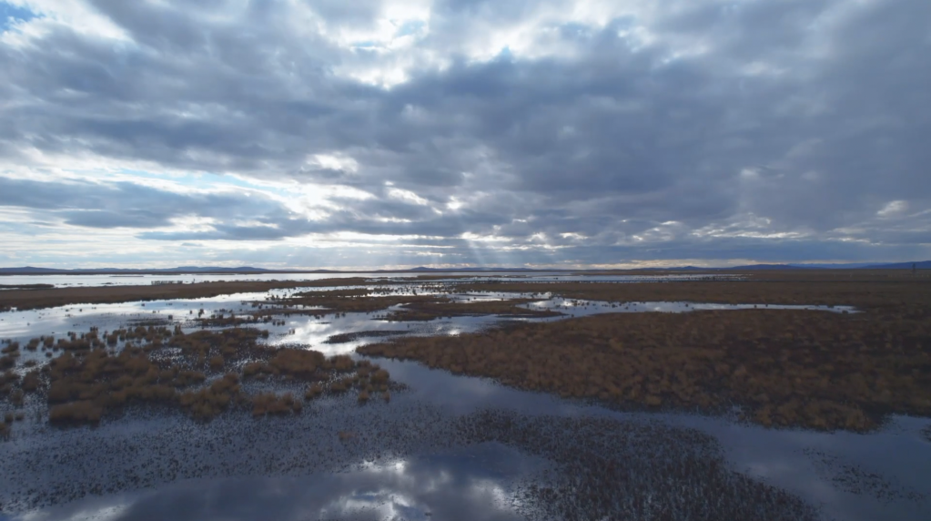包含北京大学第一医院黄牛代挂号电话票贩子号贩子网上预约挂号,住院检查加快,100秒看黄河上游秋色