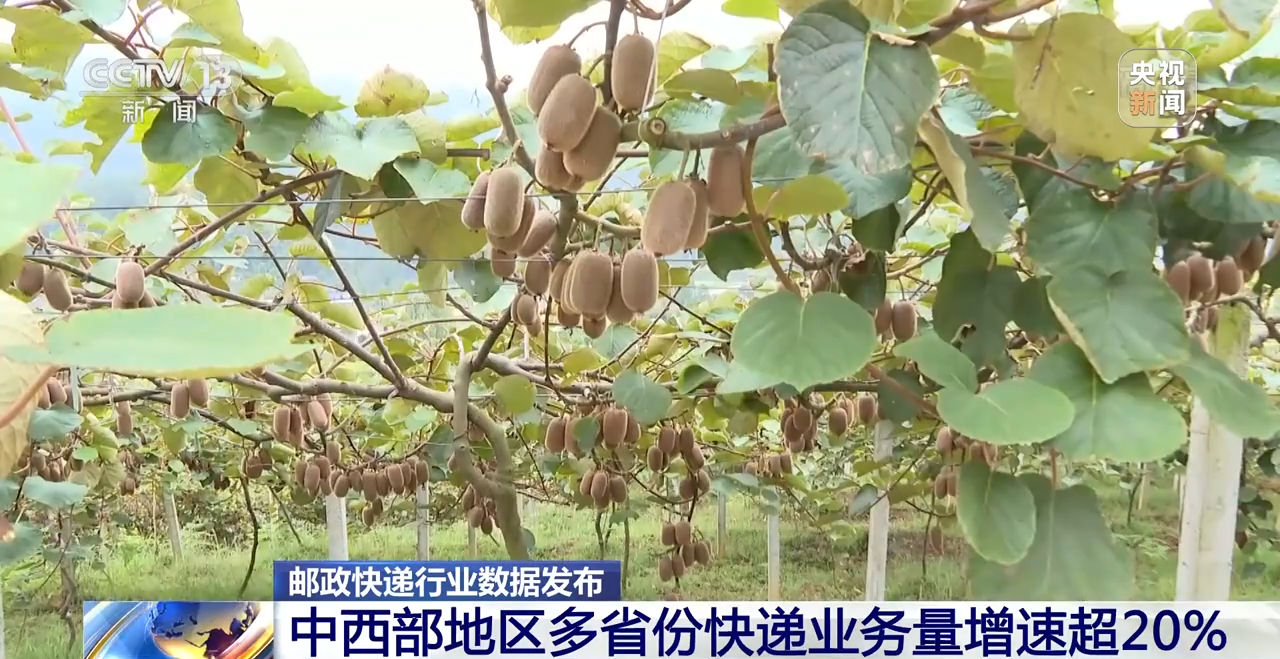 
北京安贞医院黄牛代挂号电话票贩子号贩子网上预约挂号,住院检查加快,1—9月全国快递业务量超800亿件 中西部地区多省份快递业务量增速超20%