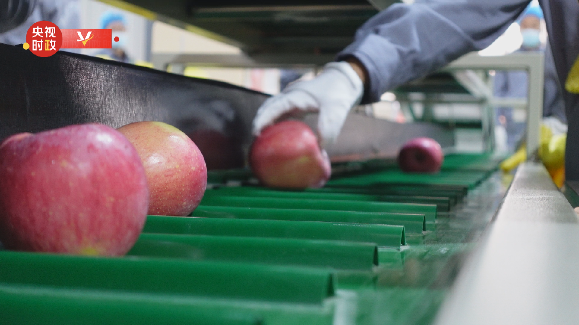 
南京脑科医院黄牛代挂号电话票贩子号贩子网上预约挂号,住院检查加快,习近平延安行丨山青景美产业旺——走进安塞区南沟村