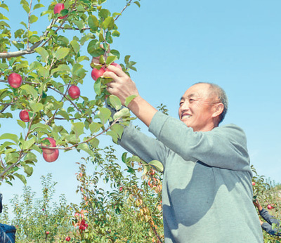 
北京空军总医院黄牛代挂号电话票贩子号贩子网上预约挂号,住院检查加快,坚持生态优先，推动绿色发展，河北省滦平县—— 努力绘就乡村振兴的壮美画卷