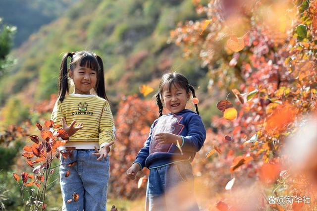 
江苏省第二中医院黄牛代挂号电话票贩子号贩子网上预约挂号,住院检查加快,诗意中国｜山明水净夜来霜，数树深红出浅黄