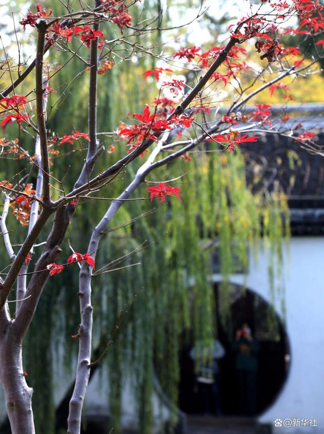 
江苏省第二中医院黄牛代挂号电话票贩子号贩子网上预约挂号,住院检查加快,诗意中国｜山明水净夜来霜，数树深红出浅黄