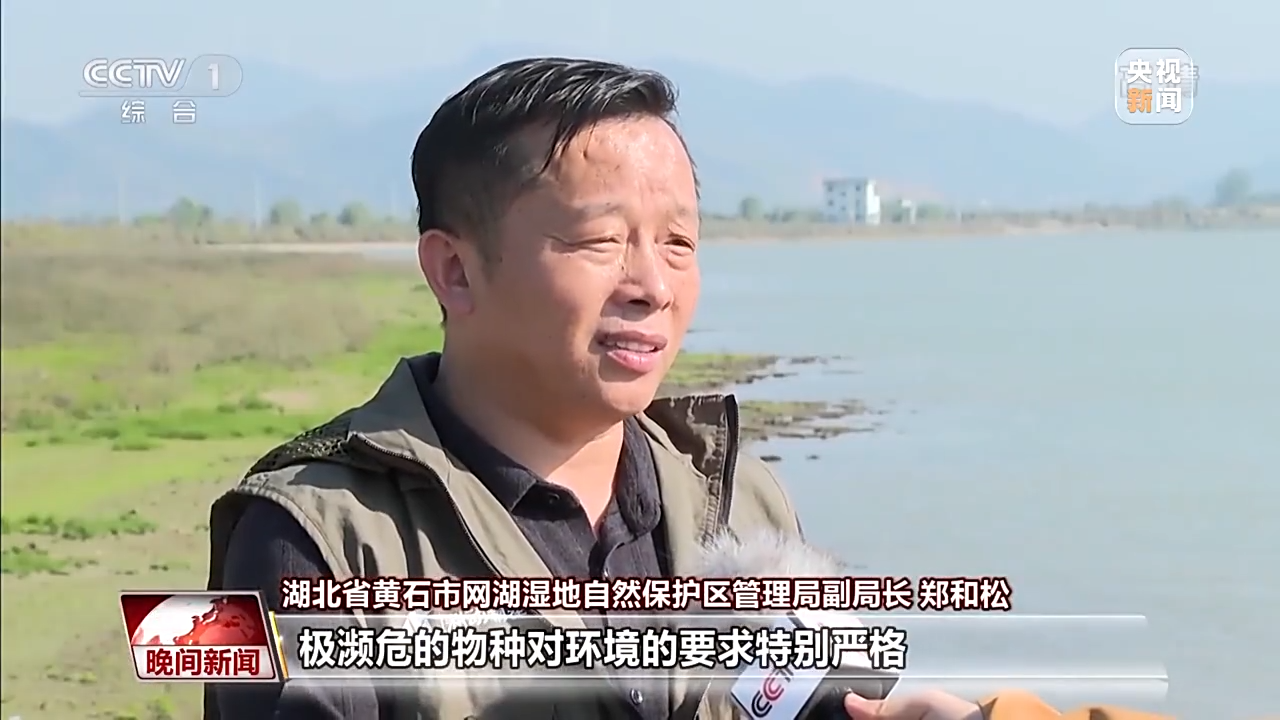 
上海第十人民医院黄牛代挂号电话票贩子号贩子网上预约挂号,住院检查加快,生态环境向好 这些湿地成候鸟越冬新站点
