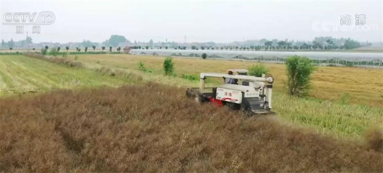 
北京协和医院黄牛代挂号电话票贩子号贩子网上预约挂号,住院检查加快,前三季度农业农村经济稳中向好、稳中有进 数字里透出满满幸福感