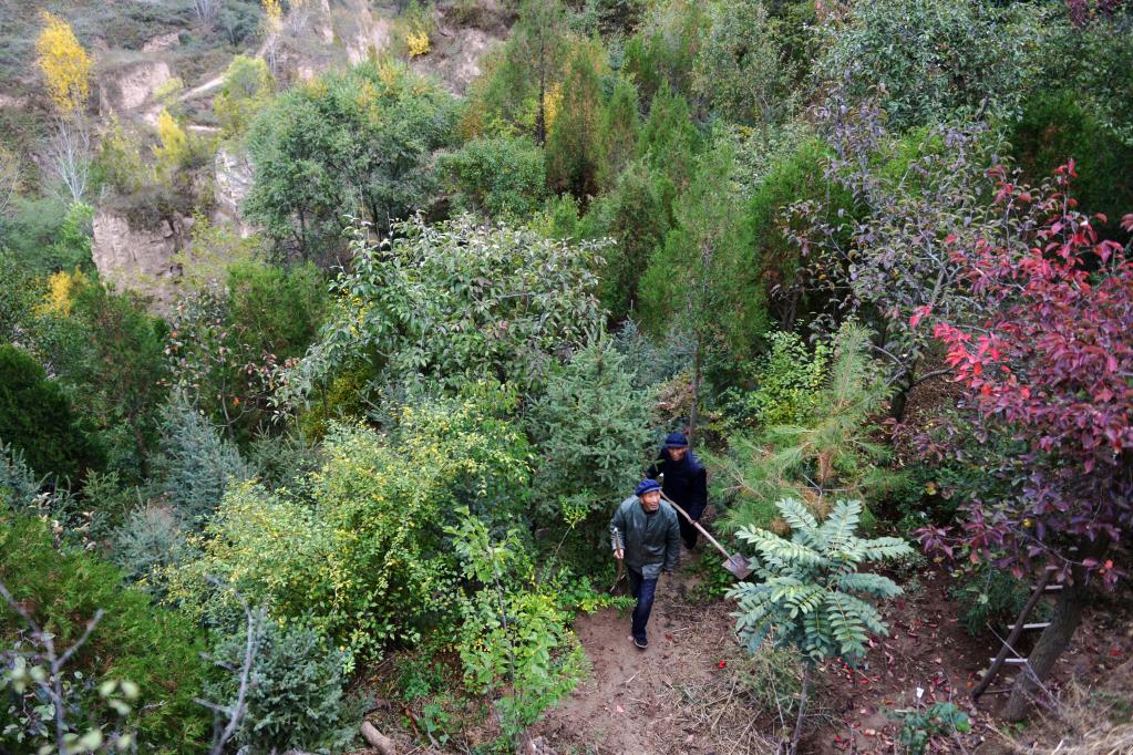 
天津各大医院黄牛代挂号电话票贩子号贩子网上预约挂号,住院检查加快,江河奔腾看中国|黄河奔流泽陇原——甘肃绘就黄河保护治理新画卷