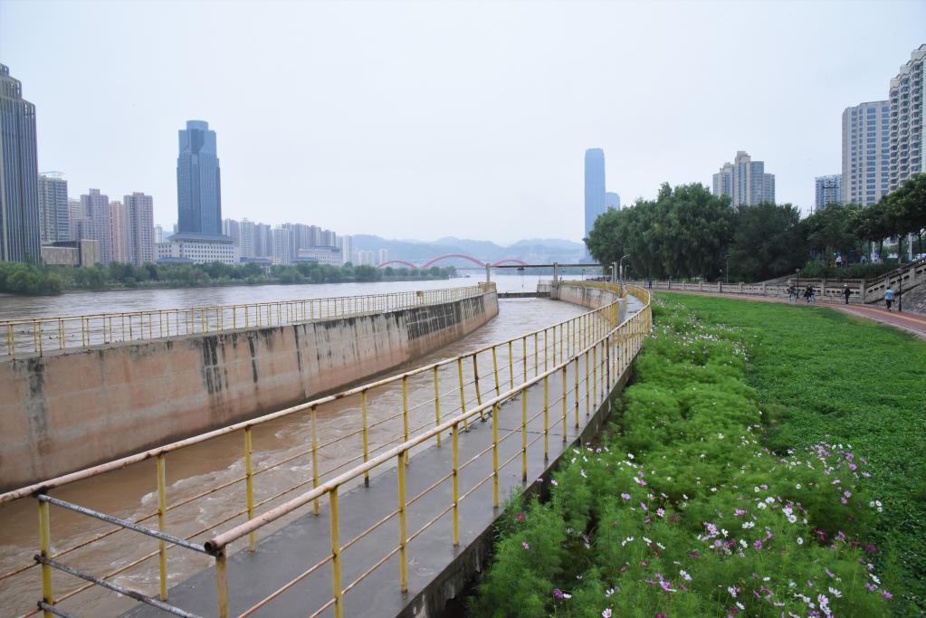 
天津各大医院黄牛代挂号电话票贩子号贩子网上预约挂号,住院检查加快,江河奔腾看中国|黄河奔流泽陇原——甘肃绘就黄河保护治理新画卷
