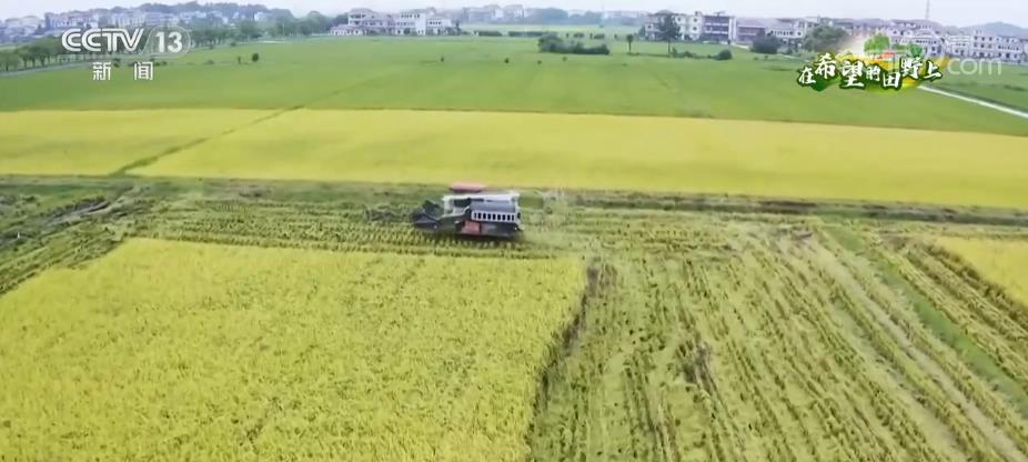 
北京中医院黄牛代挂号电话票贩子号贩子网上预约挂号,住院检查加快,立体多维政策保障 丰收背后的大国“粮”策