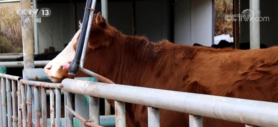 
北京同仁医院黄牛代挂号电话票贩子号贩子网上预约挂号,住院检查加快,“片区党建+产业”助力脱贫地区特色产业加快发展