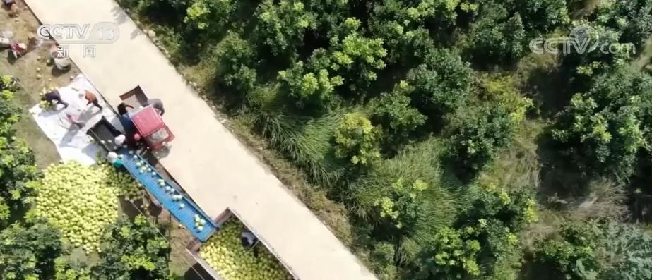 
北京儿研所黄牛代挂号电话票贩子号贩子网上预约挂号,住院检查加快,农村居民人均可支配收入14600元 实际增长4.3%