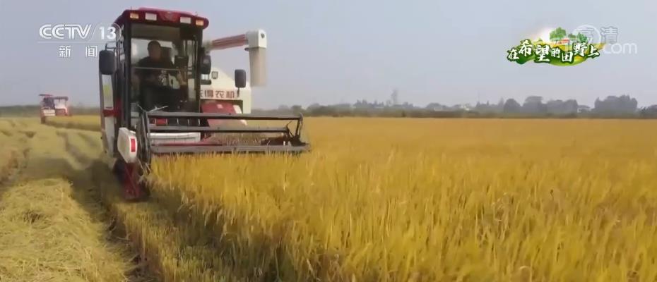 
杭州市第一人民医院黄牛代挂号电话票贩子号贩子网上预约挂号,住院检查加快,“数字化土地”迸发新活力