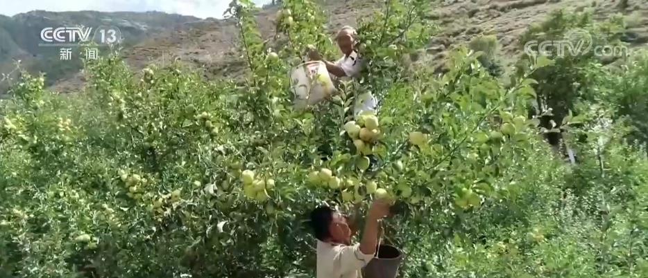 
北京同仁医院黄牛代挂号电话票贩子号贩子网上预约挂号,住院检查加快,“片区党建+产业”助力脱贫地区特色产业加快发展