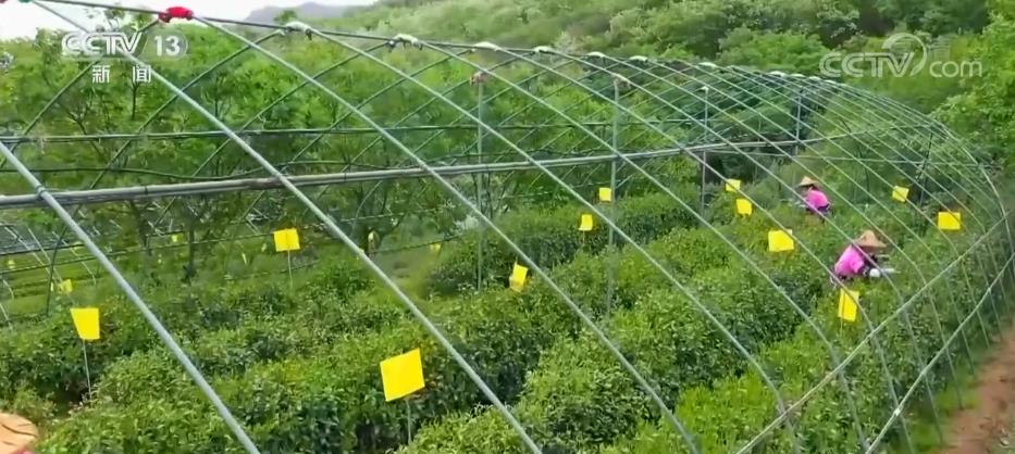 
北京中医院黄牛代挂号电话票贩子号贩子网上预约挂号,住院检查加快,稳岗拓岗转岗 脱贫劳动力务工规模达3268.7万人