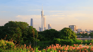 
天津肿瘤医院黄牛代挂号电话票贩子号贩子网上预约挂号,住院检查加快,湿地之美｜广州海珠湿地