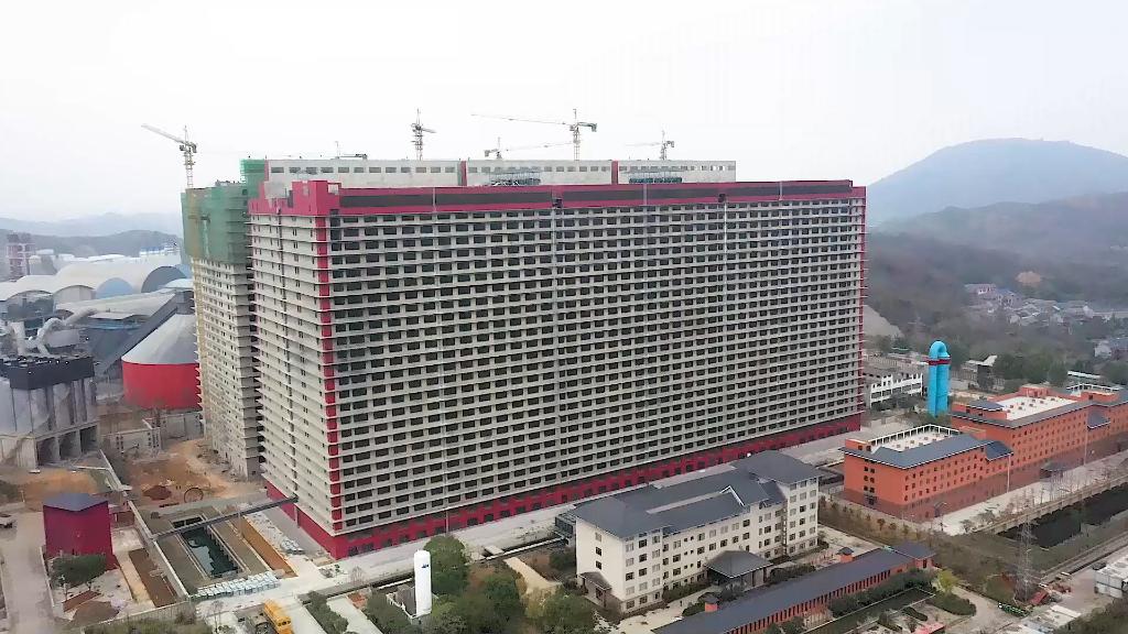 
江苏省第二中医院黄牛代挂号电话票贩子号贩子网上预约挂号,住院检查加快,坐电梯上楼 智能化投喂——探访现代化养猪新模式