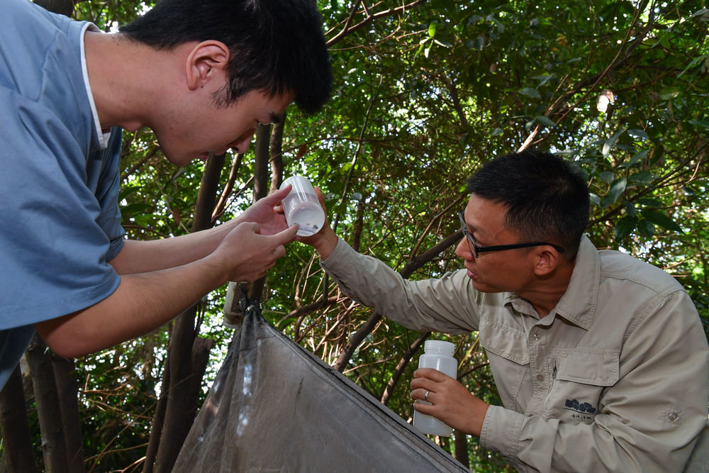 
天津肿瘤医院黄牛代挂号电话票贩子号贩子网上预约挂号,住院检查加快,湿地之美｜广州海珠湿地