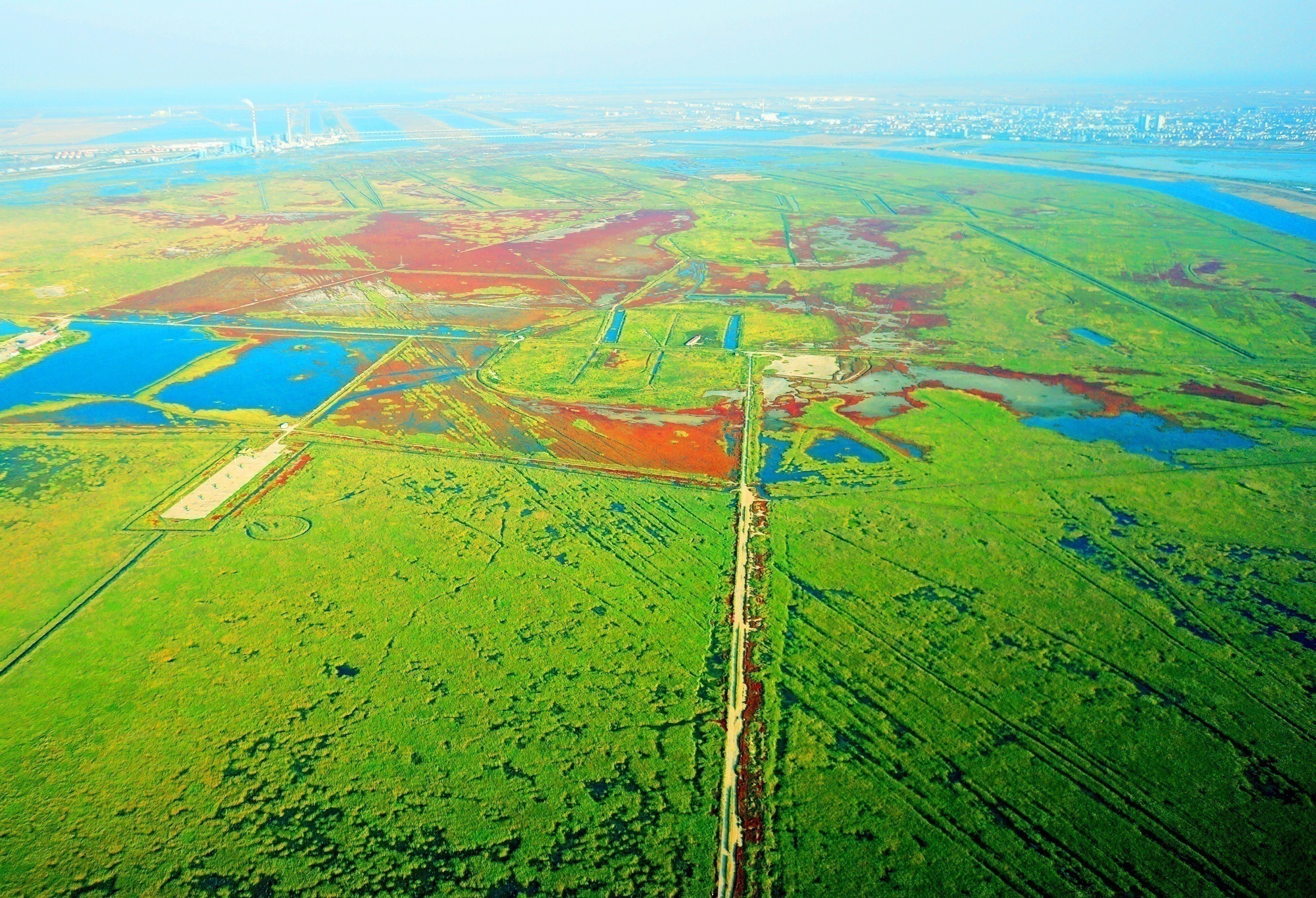 
首都医科大学附属儿童医院黄牛代挂号电话票贩子号贩子网上预约挂号,住院检查加快,海河观津丨百万候鸟来“息”，它们为何偏爱北大港？