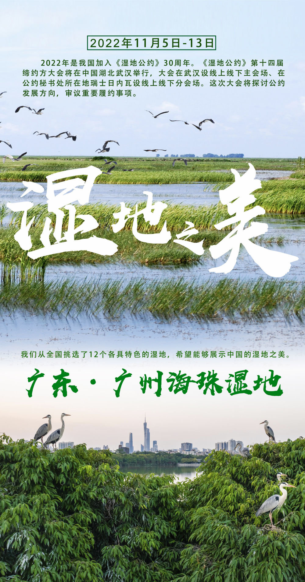 
天津肿瘤医院黄牛代挂号电话票贩子号贩子网上预约挂号,住院检查加快,湿地之美｜广州海珠湿地