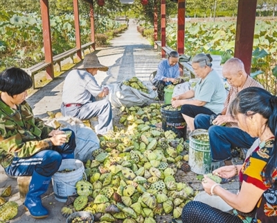 
北京儿童医院黄牛代挂号电话票贩子号贩子网上预约挂号,住院检查加快,珠江闽江生态向好景象新（新时代画卷·江河奔腾看中国）