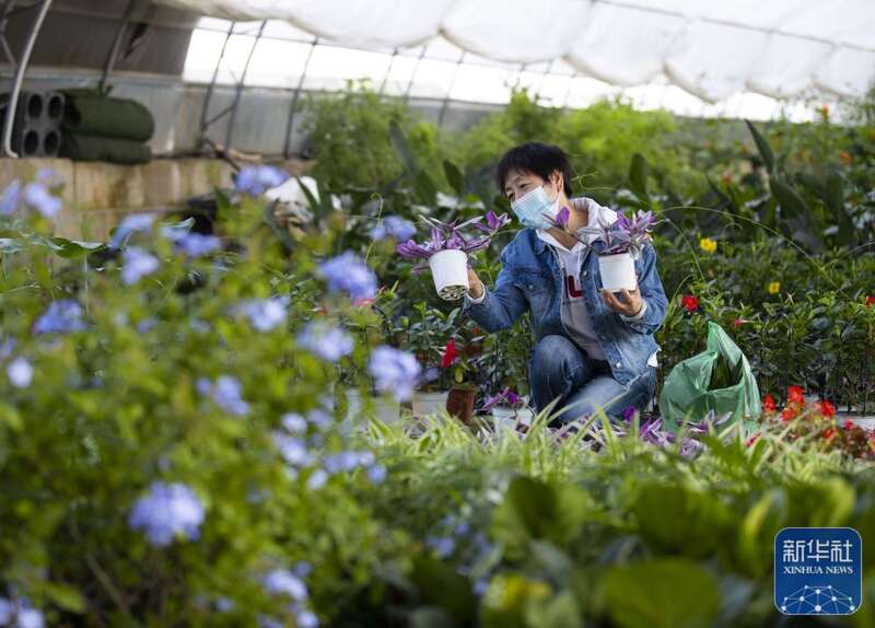 
博爱医院黄牛代挂号电话票贩子号贩子网上预约挂号,住院检查加快,多姿多彩的国庆假期