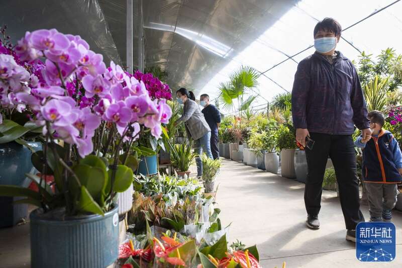 
博爱医院黄牛代挂号电话票贩子号贩子网上预约挂号,住院检查加快,多姿多彩的国庆假期