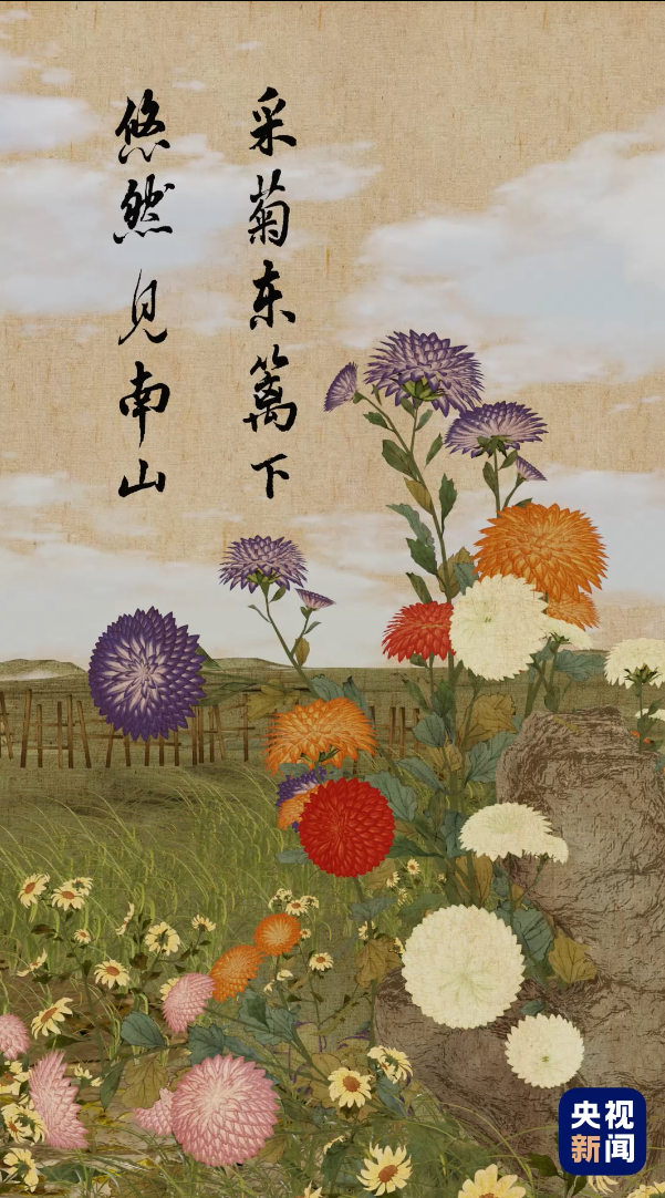 
长春吉大二院黄牛代挂号电话票贩子号贩子网上预约挂号,住院检查加快,人间好时节丨寒露