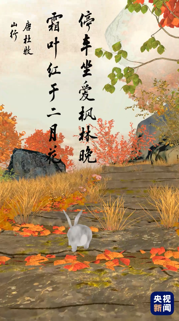 
长春吉大二院黄牛代挂号电话票贩子号贩子网上预约挂号,住院检查加快,人间好时节丨寒露