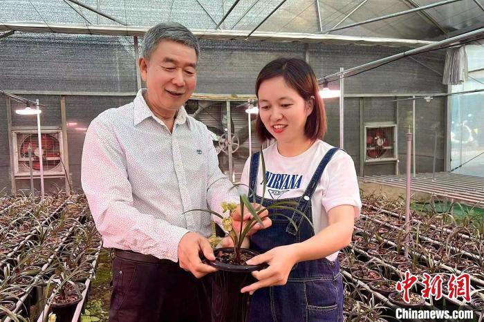 
上海儿科医院黄牛代挂号电话票贩子号贩子网上预约挂号,住院检查加快,台湾种兰人40载扎根闽南：带徒授艺 造福花农