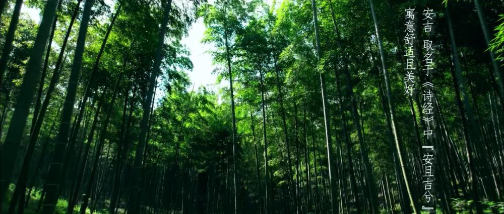 
上海新华医院黄牛代挂号电话票贩子号贩子网上预约挂号,住院检查加快,新华空间音频｜寻声安吉，听见绿水青山
