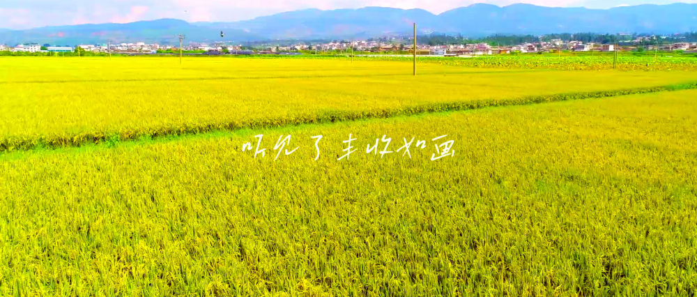 
上海新华医院黄牛代挂号电话票贩子号贩子网上预约挂号,住院检查加快,新华空间音频｜寻声安吉，听见绿水青山